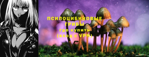 ПСИЛОЦИБИНОВЫЕ ГРИБЫ Волгодонск