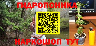 ПСИЛОЦИБИНОВЫЕ ГРИБЫ Аргун