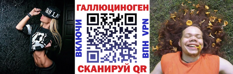 где купить наркотик  Спасск-Дальний  Галлюциногенные грибы Psilocybe 