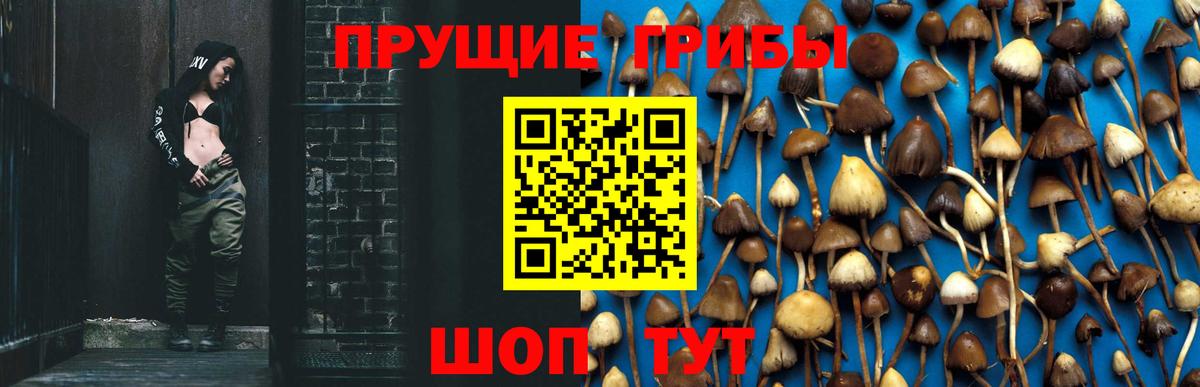 Псилоцибиновые грибы прущие грибы  где купить   Псилоцибиновые грибы GOLDEN TEACHER  Спасск-Дальний 